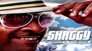 Shaggy - Dame ★ NEW 2011 ★