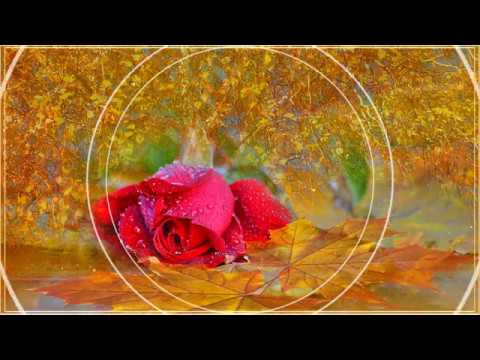 Kā senā dziesmā - Valters un Kaža, Putnu balle