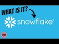 What Is Snowflake The Biggest US Software IPO In History