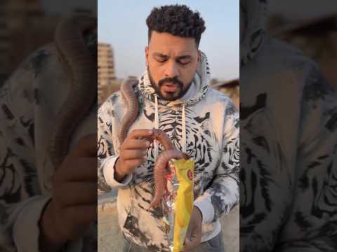 مصطفي والشيبسي المسمم شوفو عمل اي🥺😱