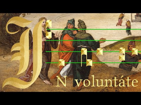 Introito XXVII dom. T.O: In voluntate tua