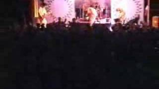 Taproot-Poem to Self