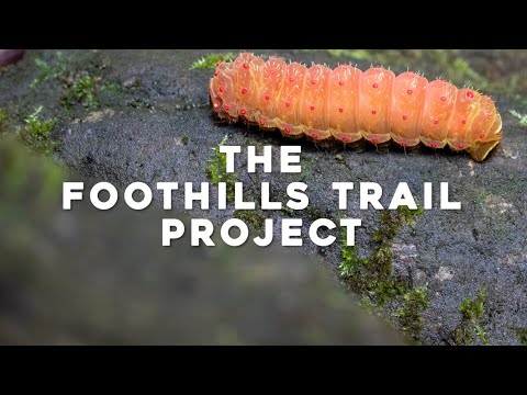 The Foothills Trail Project | Documentary Film