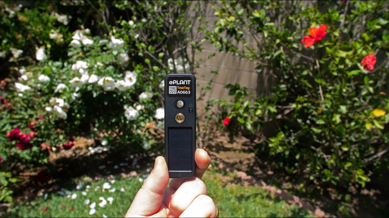 TreeTag from ePlant: The wireless device for real-time tree health data.