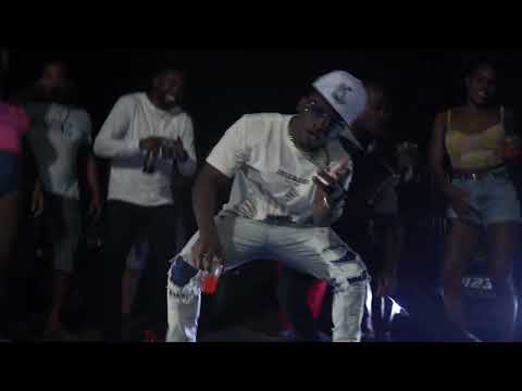 Skinny Fabulous - Party In The Road (Official Music Video)| Cat Attack Riddim