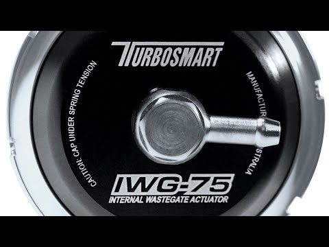 How to disassemble and change springs on TurboSmart IWG-75 interal wastegate