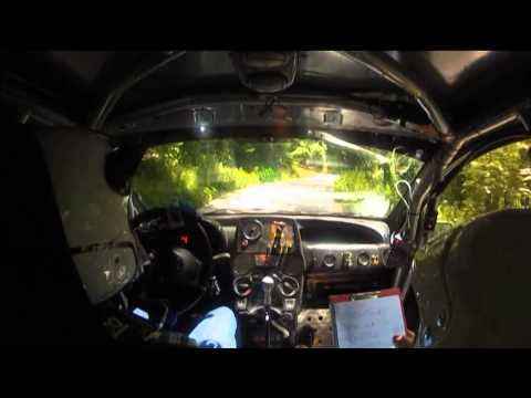 Rally degli Abeti 2015 Corti - Catalano Fiat Panda A5