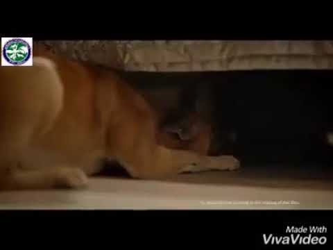 a beautiful message for society ❤️  - This diwali