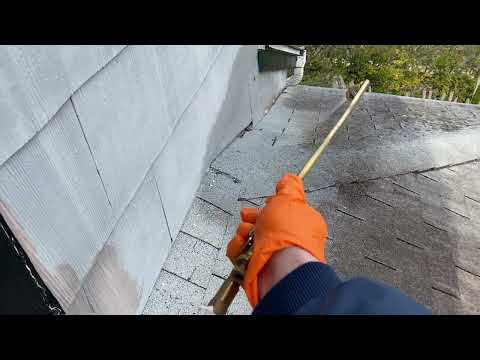 Yellow Jackets Stinging Homeowner While She Sleeps in Princeton Junction, NJ