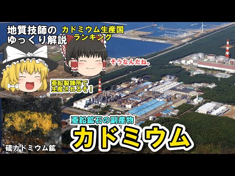 ポリキロスについて詳しく解説