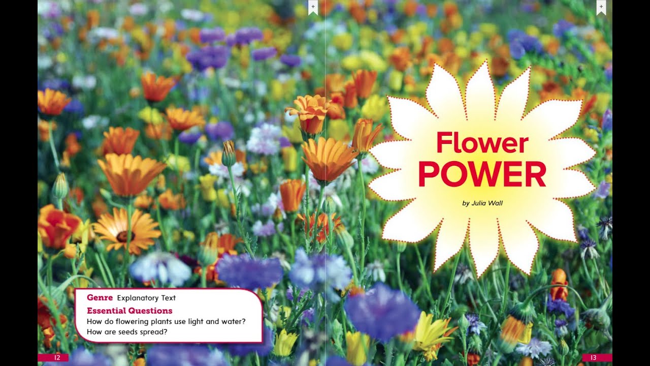 Open Court Reading - Flower Power