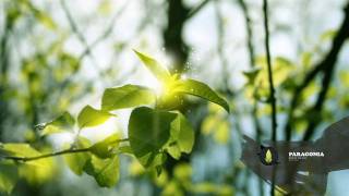 Rachel's - Water From the Same Source