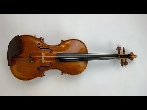 Violin, viola, cello and double bass - take a look!