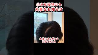 一緒に戦ってくれる新しい仲間が必要です　#さとうさおり #千代田区長選 #減税党