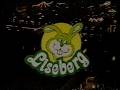 Liseberg Gröna Lund 80 Tal Reklam VHS