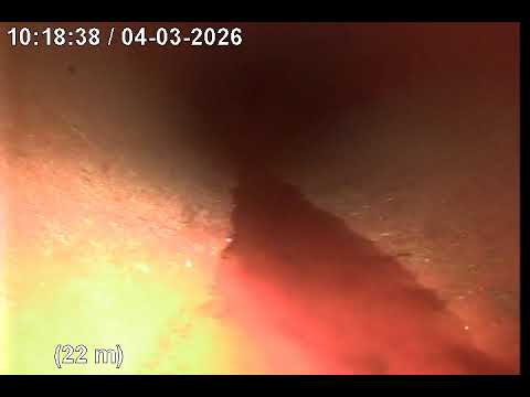 Telediagnóstico em São João do Ivaí, executado em 04/03/2026.