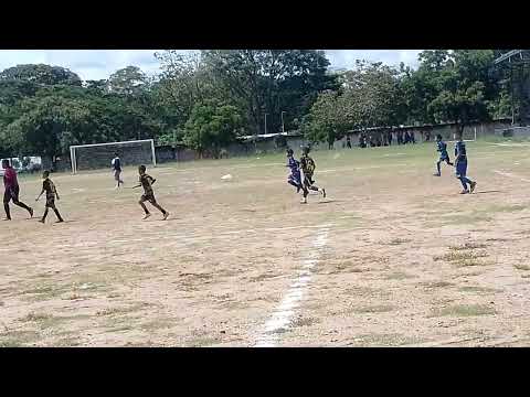 Final festival copa semillas de paz morroa sucre