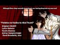 [English] Vampire Knight OP "Futatsu no Kodou to ...