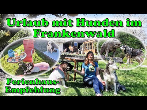 Urlaub mit mehreren Hunden - Ferienhaus eingezäunt und (fast) Alleinlage im Frankenwald👍