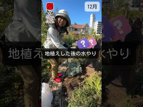 水やりをほとんどせずにプランターに植える植物はどれですか？ローメンテナンス10種！  庭園