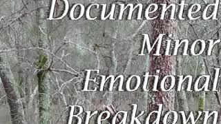 Documented Minor Emotional Breakdown Tetralogy