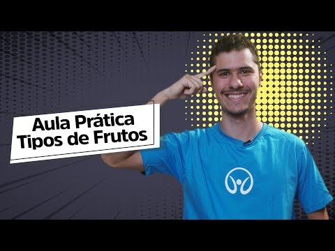 Types of Fruits | Practical Class - Brasil Escola