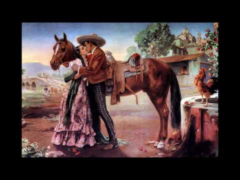 Don Diego - Chrpa