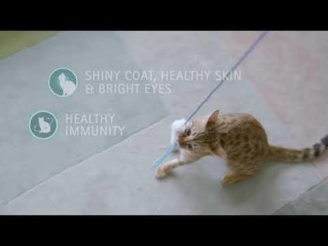 Purina One Six Signs of Health