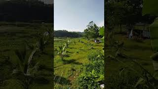 Download lagu SITU #CIBEUREUM KARANG NUNGGAL #TASIKMALAYA #WISATA mp3