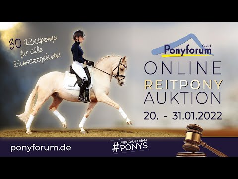 DIEGA L Stute 2018 v. D-Power AT / FS Don´t Worry