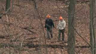 preview picture of video 'Back Country Forest Management at Morgan-Monroe State Forest | Indiana DNR'