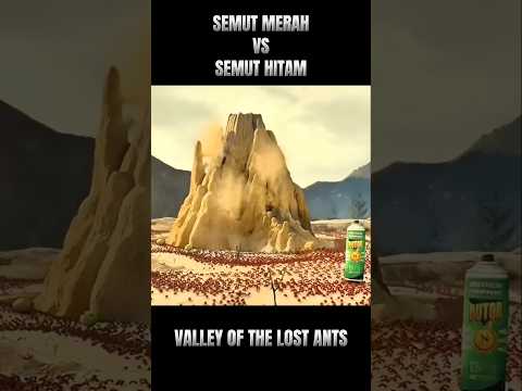 Perang terbesar dalam sejarah semut‼️#alurceritafilm #shorts