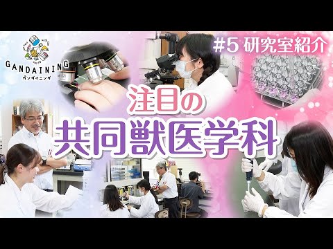 ガンダイニング2024：獣医学部紹介（佐藤洋先生：比較薬理毒性学研究室）