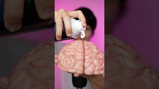 Download lagu scrubbing your 🧠#asmr mp3 Download lagu scrubbing your 🧠#asmr mp3