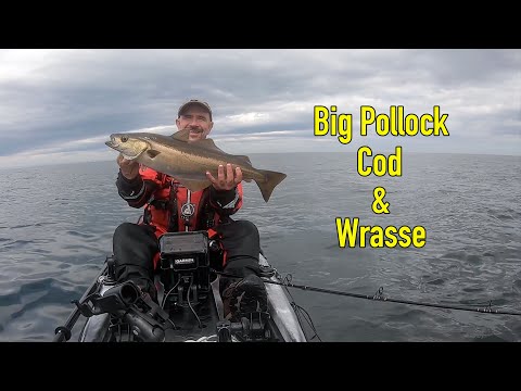Kayak Fishing Whitley Bay and St Mary's Island for Big Cod, Pollock and Wrasse