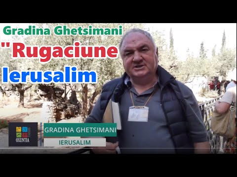 ✈️ Grădina #Ghetsimani - o mică gradina cu măslini - pastorul Viorel Candrianu | Oxentia Tourism