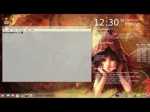 MakuluLinux Flash 2020 Early Preview