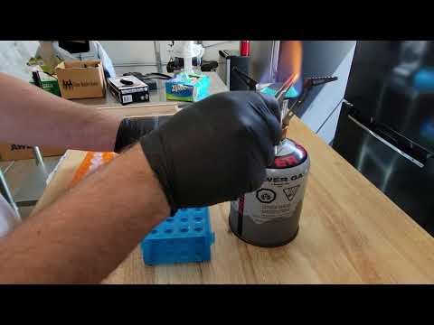 Fungal Barcoding at Home Part 1: DNA extraction and PCR reaction setup.