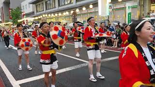 日本東北山形花笠祭，花笠舞遊行：大和證券，充滿陽剛氣息。