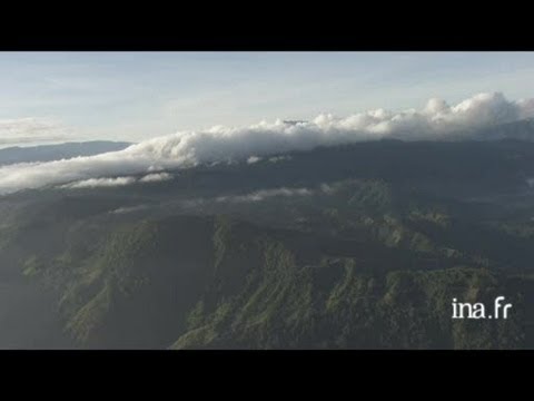 Costa Rica : forêt montagneuse