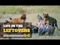 Wild Africa - हिन्दी डॉक्यूमेंट्री | Life in the Leftovers full documentary