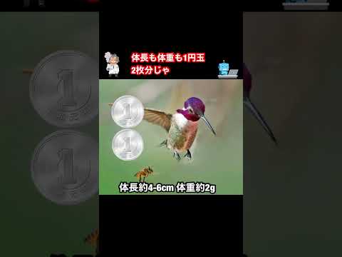 IUCN分類における絶滅の危険性を示す図。