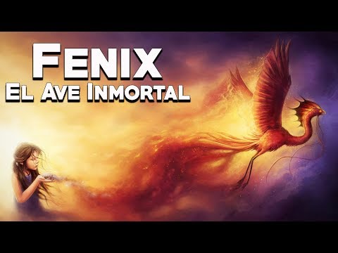 Phoenix: The Immortal Bird - Mythological Bestiary - See the Story