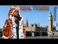 Review of Mick Herron's REAL TIGERS