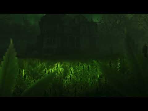 Countree Hype | Fresh King -  Cannabis [Official Audio]