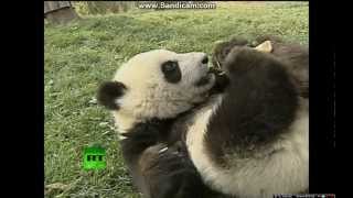 Once It Starts (Supergarage Rock) ▄ █ ▄ █ ▄ ▄ █ ▄