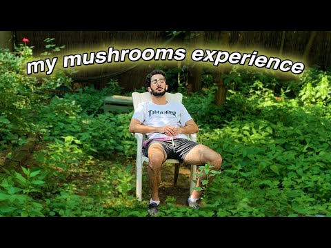 What I Wrote While Tripping on Mushrooms