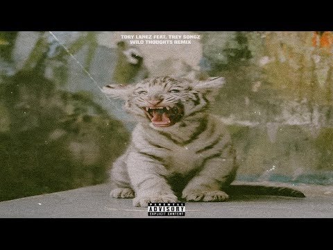 Tory Lanez - Wild Thoughts (Feat. Trey Songz)