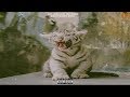 Tory Lanez Wild Thoughts Feat Trey Songz