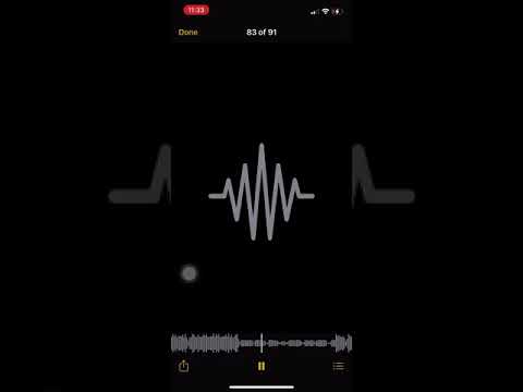 3ig0pp mitch2rich wop